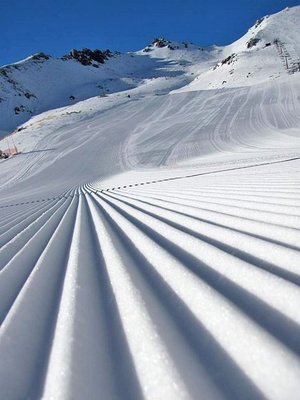 Замечательный бельвет...