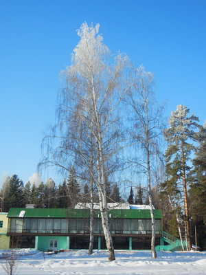 Столовая, где можно подогнать вес под флекс доски.