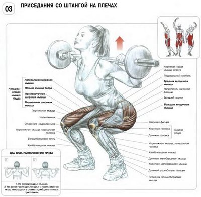 ПРИСЕДАНИЕ