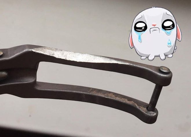 WhatsApp Image 2017-03-30 at 17.47.50.jpeg