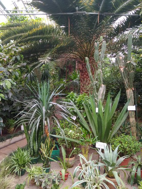 2018-04-25 14-33-44.JPG