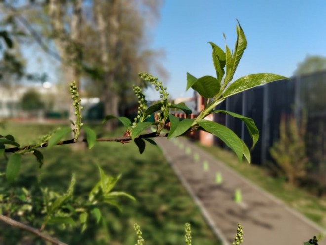 WhatsApp Image 2019-04-30 at 08.30.18.jpeg