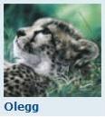 Olegg_logo.jpg