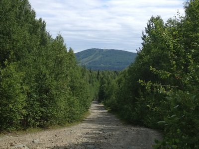 г.Ежовая летом