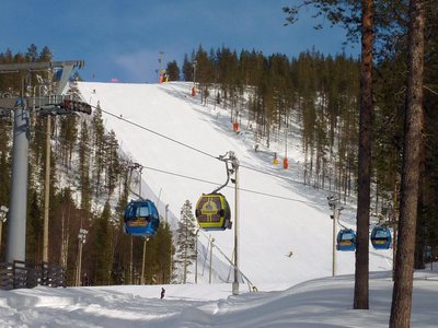 красавица Levi black