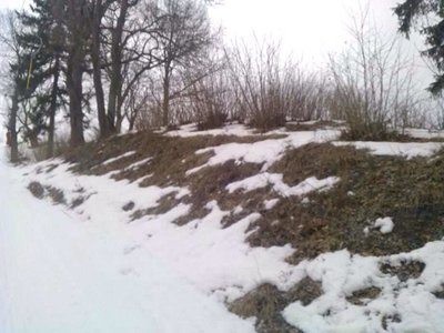 Много снега