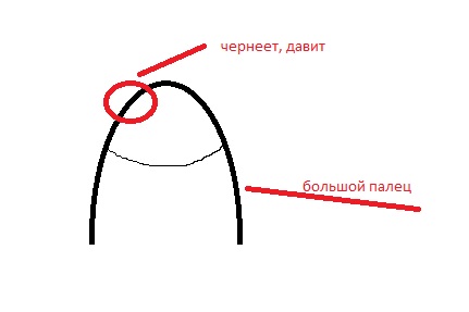 палец.jpg