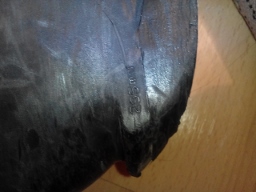 2isDOPcJXjI (256x192).jpg