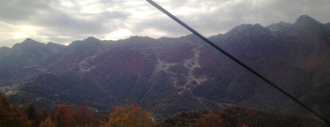 Роза и Альпика Сервис