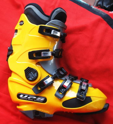 желтый бот.JPG